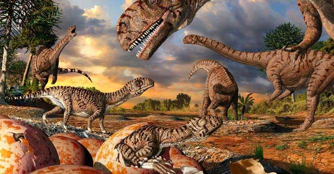 Ученые по скорлупе яиц динозавров вычислили их температуру тела Ученые по скорлупе яиц динозавров вычислили их температуру тела