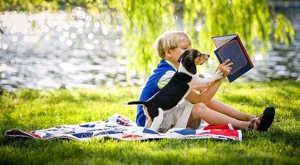 Чтение книг продлевает жизнь – ученые Чтение книг продлевает жизнь – ученые